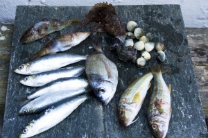 Mittelmeerfische in der sardischen Küche