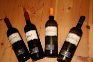 Qualitätsweine der Cantina di Santadi im Süden-Iglesiente